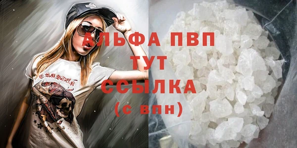 соль ск Тайга