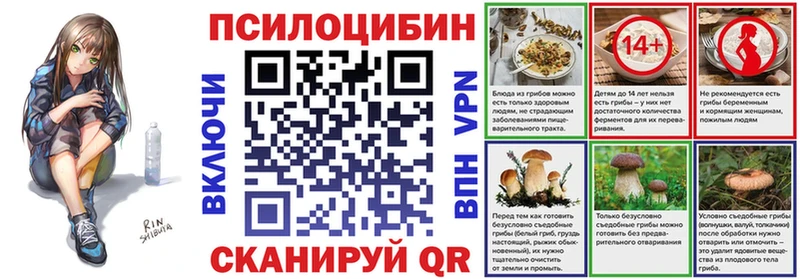 купить наркотики сайты  OMG ссылка  Псилоцибиновые грибы Magic Shrooms  Будённовск 